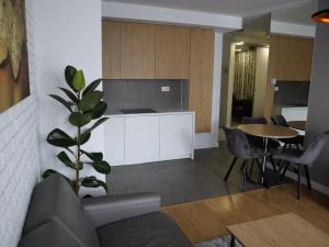 Apartament Nowy Sącz