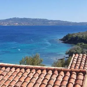 Oasi CalaCapra - Palau Porto pollo - Proiettore