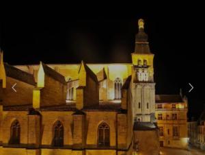 Appartements Appartement de prestige avec parking Sarlat centre : photos des chambres