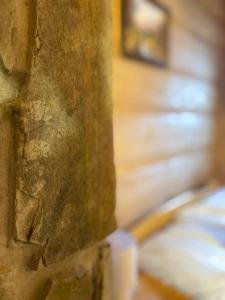 Willa Anna Bukowina & Spa