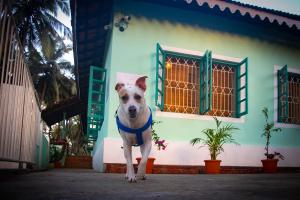 The Bungalow Bogmalo An 1880 Indo Portuguese Heritage Beach Villa South Goa