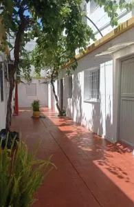 Ronald - 皮里亚波利斯