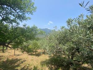 Casa con 3 Camere da Letto
