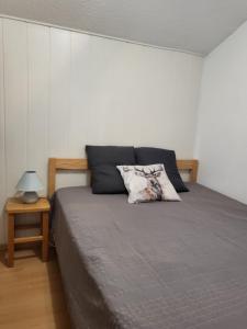 Appartement vue sur montagnes avec garage