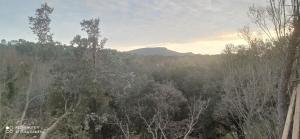 LA BASTIDETTE PROVENçALE