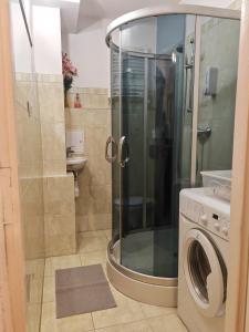 APARTAMENT CHEŁMSKO - rowery gratis