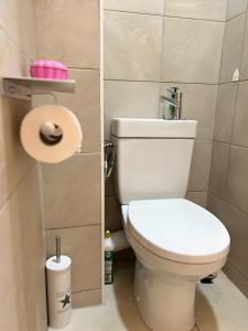 Appartements Charmant Studio climatise Paris Expo Porte de Versailles - Dome de Paris , near transportation links : photos des chambres