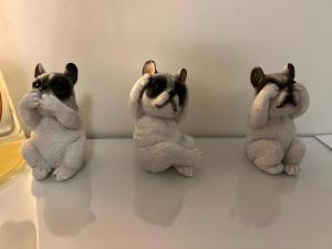 Appartements Charmant Studio climatise Paris Expo Porte de Versailles - Dome de Paris , near transportation links : photos des chambres