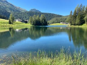 Ferienwohnung Haus Ginseng