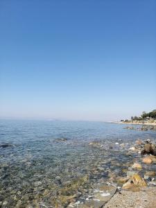 Villa Fronte mare img9