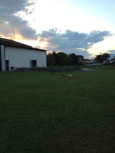 Farmstay Alloggio Cort di Branc