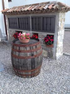 Farmstay Alloggio Cort di Branc