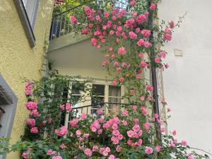 Ferienwohnung Adam - gemütlich und zentral auf der historischen Insel Lindau