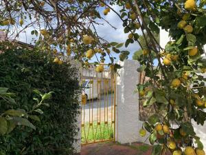 Villa Gialla - Il mare a due passi img37