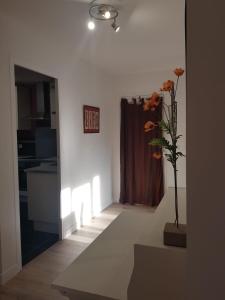 Charmant appartement spacieux à 2 pas de la plage !