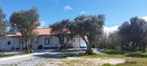 Monte da Masmorra de baixo-Casa Alentejana