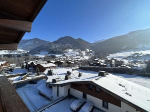 Appartements Charmant appartement T2 a Praz sur Arly avec parking et balcon - 300m du village, 600m des pistes - FR-1-603-88 : photos des chambres