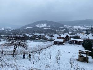 Садиба У Дохтора Відпочинок у Карпатах