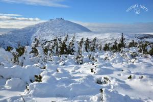 Apartmán C01 Poustevník