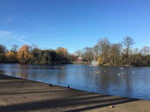 Victoria Park 1 bedroom flat