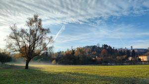 Nelly Bergamo Apartments