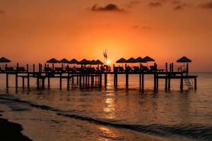 Seven Seas Hotel Life - UltraInclusive & Kids Concept