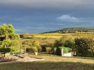 Studio spacieux, route des vins - Dinsheim