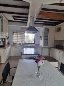 Villa in Trilofos-close to the beach
