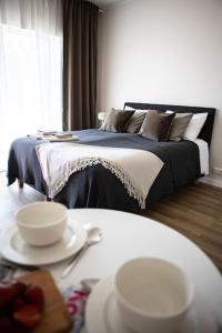 Järvevaatega studio apartment