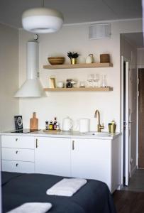 Järvevaatega studio apartment