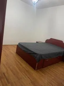 sophie apartments - Valcea