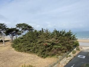 Appartements 442 - T2 dans le residence de Caroual, disposant d'une jolie vue mer : photos des chambres