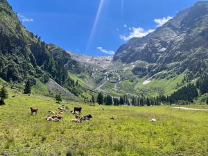 Alpengasthof Lüsens - Bergsteigerhaus