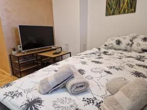 Modern Studio in Nis - 索科矿泉村