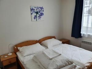 Apartmány Sving Horní Mísečky