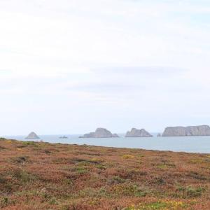 Maisons de vacances Chaleureux Penty, bord de mer, Pointe de Dinan : photos des chambres