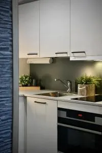 Aava Sky Village Aurinkomaja - Aavasaksa