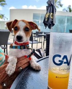 Apto SALINAS EXCLUSIVE RESORT