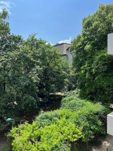 Appartements Secret garden Calme et terrasse en hyper-centre : photos des chambres