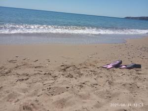 Sea melodies apartment 1