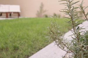 Rewal - 6 Person - Premium Baltic Apartment with Garden