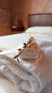 Casas de Epoca -Serendipia