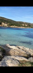 Appartements COEUR DE CALVI : photos des chambres