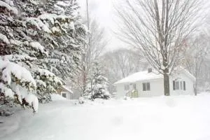 Pet Friendly Cottage - Thompsonville