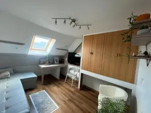 Appartement type loft avec terrasse - 图拉维尔