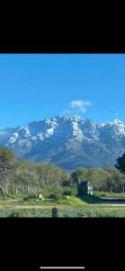 Appartements COEUR DE CALVI : photos des chambres