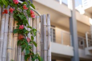 Complejo Bosque y Mar