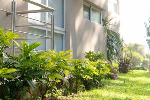 Complejo Bosque y Mar