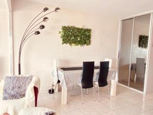 APPARTEMENT GRAU DU ROI - FRONT DE MER - CENTRE VILLE -RIVE GAUCHE