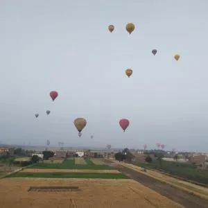 Happy home - El Qûrna